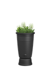 green basics rainbarrel plus 110ltr living black